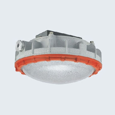 BZD180-111防爆免维护LED照明灯(IIC)