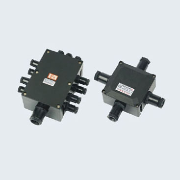 BJX8030系列防爆防腐接线箱(IIB、IIC)