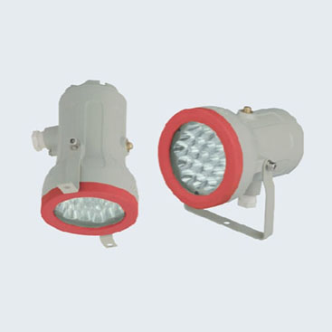 BZD180-110防爆免维护LED照明灯(IIC)