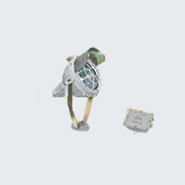 BTd-53防爆投光灯(IIC)